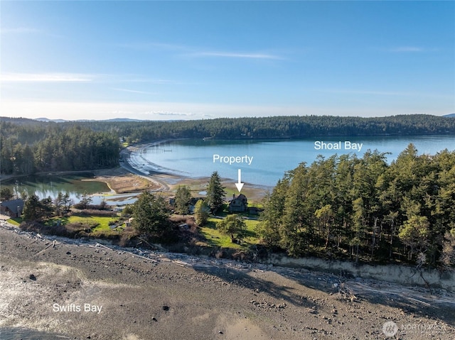 239 Shoreland Dr, Lopez Island, WA 98261 - water view featuring a view of trees