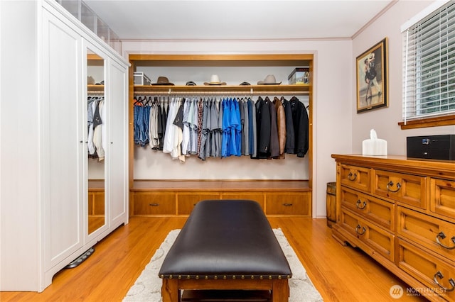 interior space featuring light wood finished floors