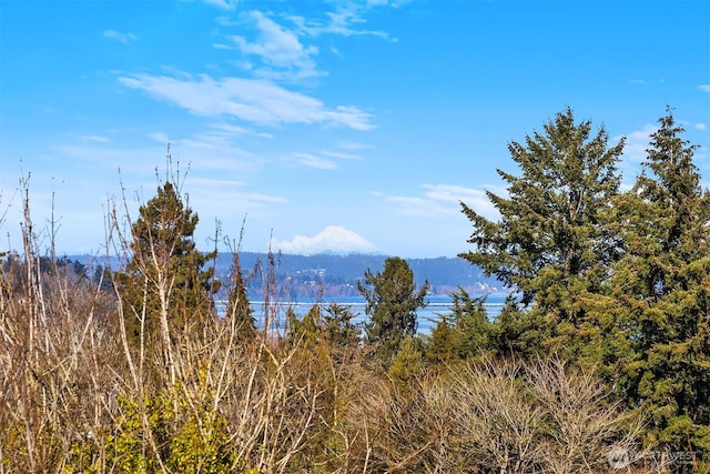 mountain view featuring a forest view