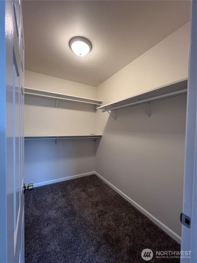 spacious closet featuring carpet