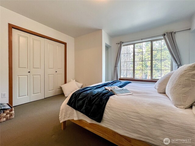 bedroom featuring a closet and carpet floors