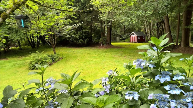 view of yard with a storage shed and an outbuilding