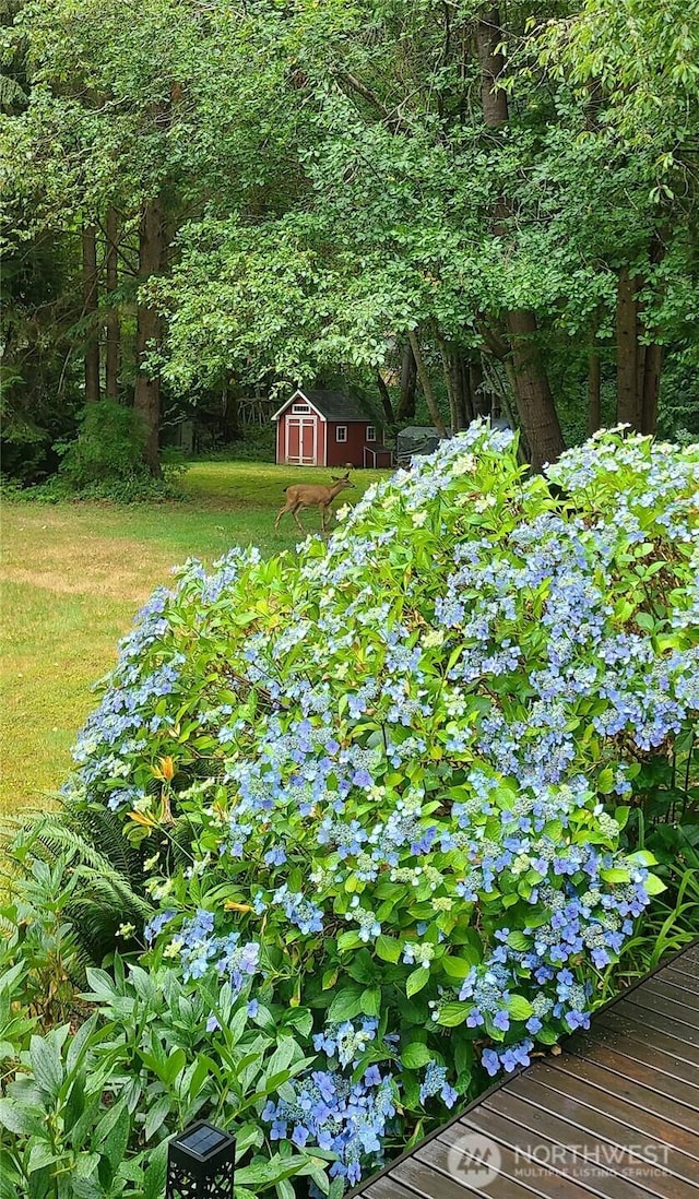 view of yard featuring an outbuilding and a shed