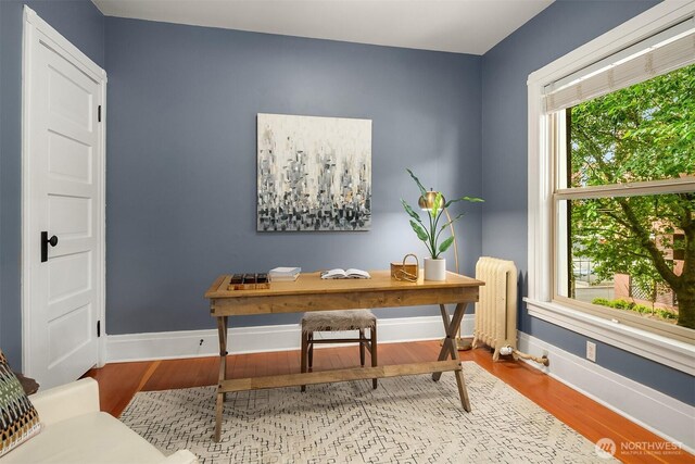 office with baseboards, radiator, and wood finished floors