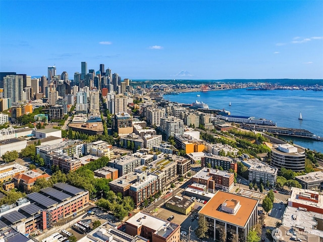 birds eye view of property featuring a view of city and a water view