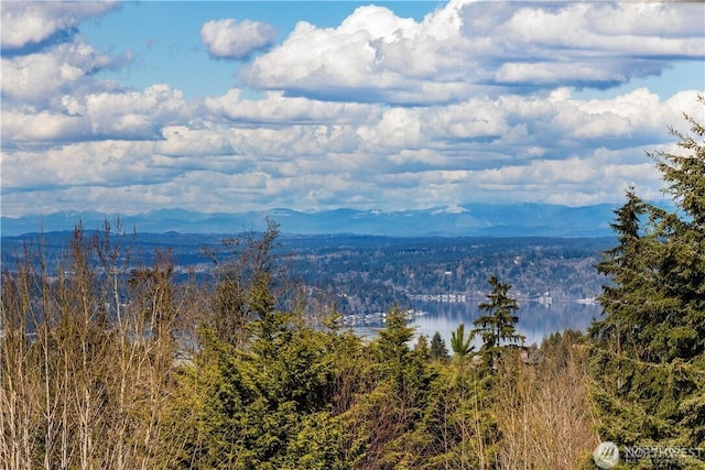 view of mountain feature featuring a view of trees and a water view