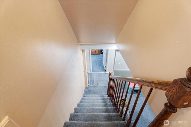 stairway featuring carpet flooring