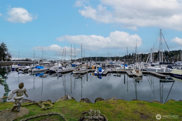 141 Parfitt Way SW Unit M-40, Bainbridge Island, WA 98110 - photo 13