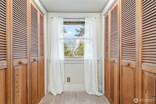 entryway featuring carpet floors