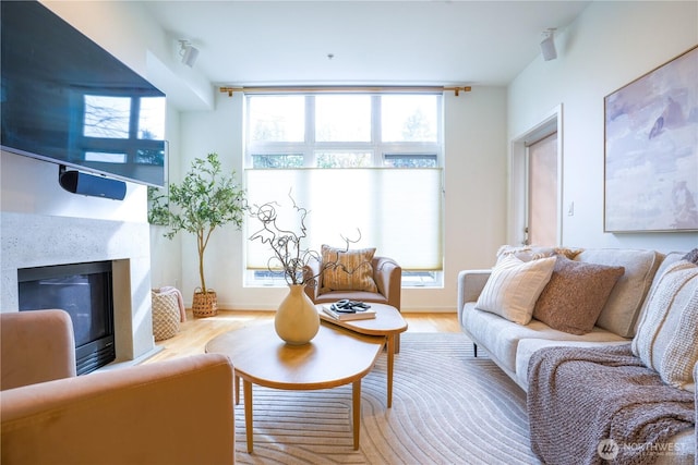 living area featuring plenty of natural light, wood finished floors, and a fireplace