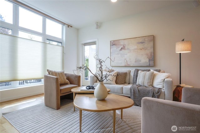 living area featuring wood finished floors