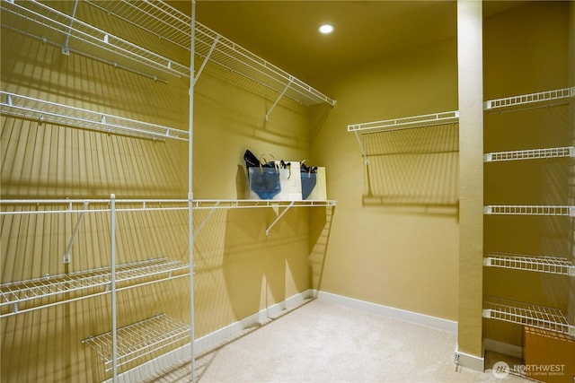 spacious closet with carpet flooring