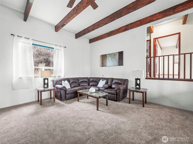 living area featuring beamed ceiling, a ceiling fan, and carpet floors