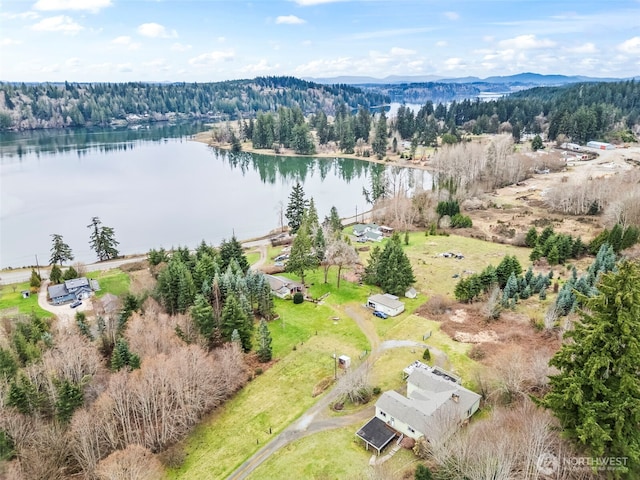 birds eye view of property with a water view and a view of trees