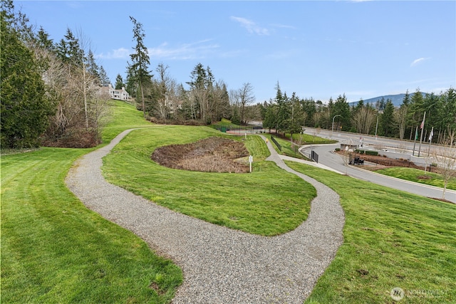 view of community with a mountain view and a lawn