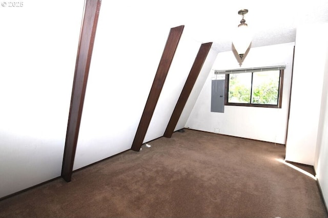 additional living space with electric panel and carpet flooring