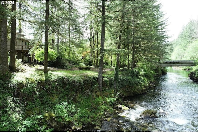 view of local wilderness with a water view