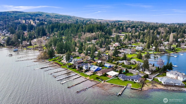 drone / aerial view with a residential view and a water view