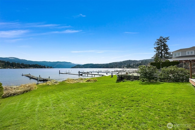 dock area with a yard and a water and mountain view