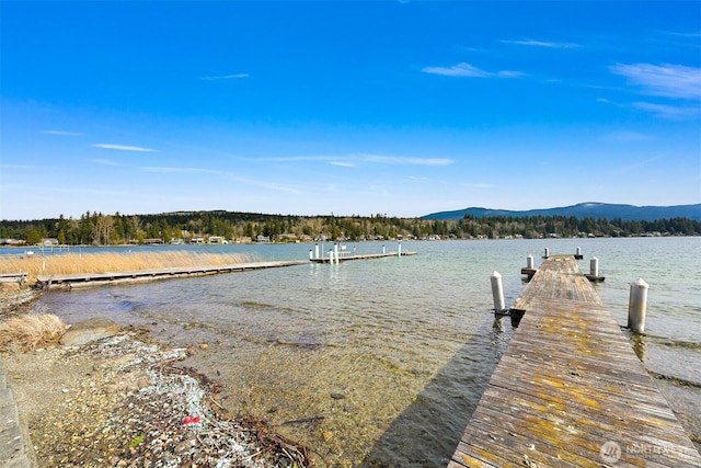 view of dock featuring a water and mountain view