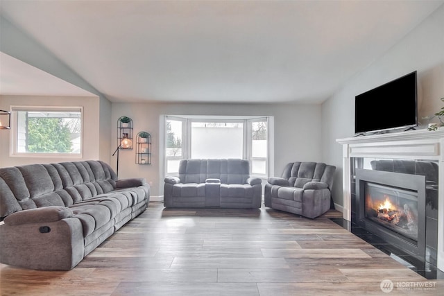 living area with a wealth of natural light, a fireplace, baseboards, and wood finished floors