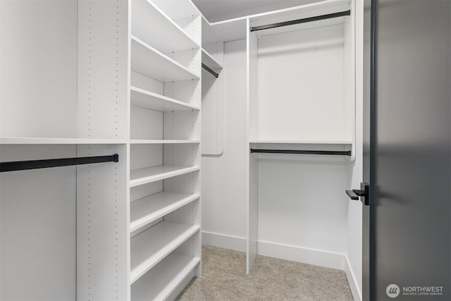 walk in closet with carpet