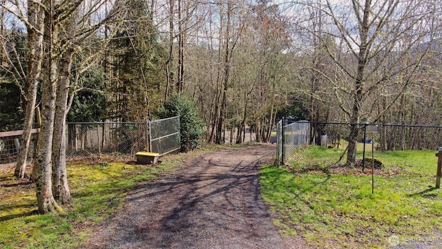 view of road with a gate and driveway