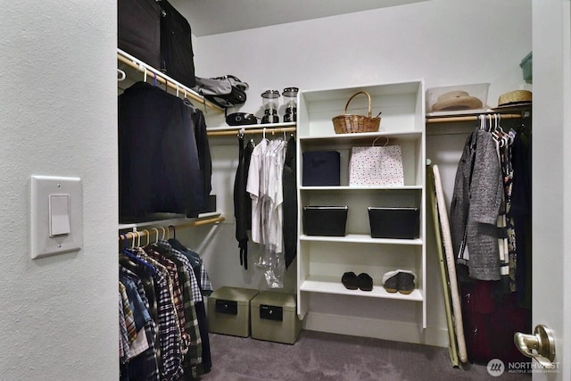 walk in closet with carpet flooring