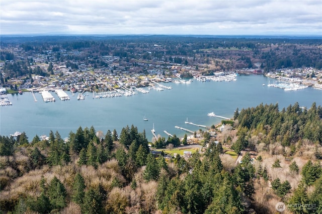 bird's eye view with a view of trees and a water view