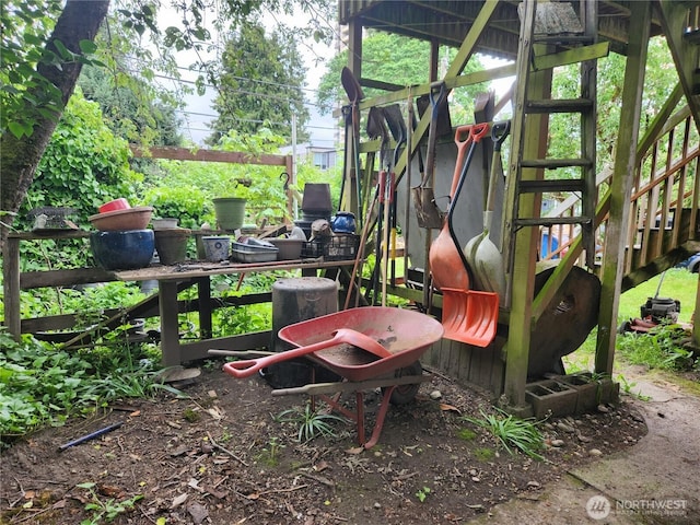 view of jungle gym