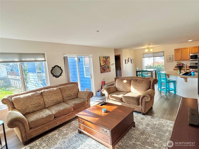 living area featuring wood finished floors