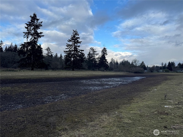 Listing photo 3 for 16130 Gibson Rd SW, Tenino WA 98589