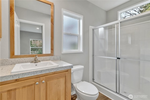 bathroom featuring toilet, a stall shower, and vanity