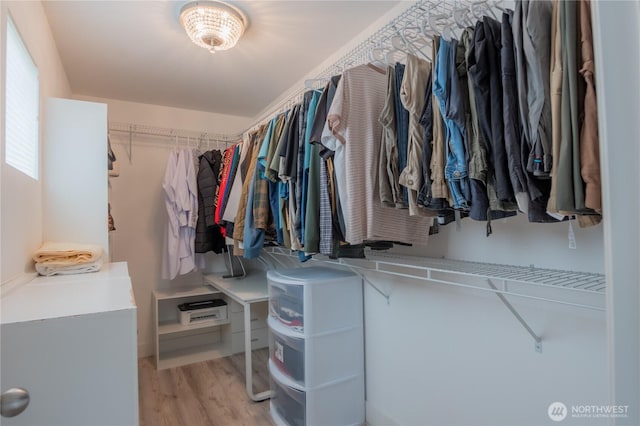 walk in closet with light wood-style flooring