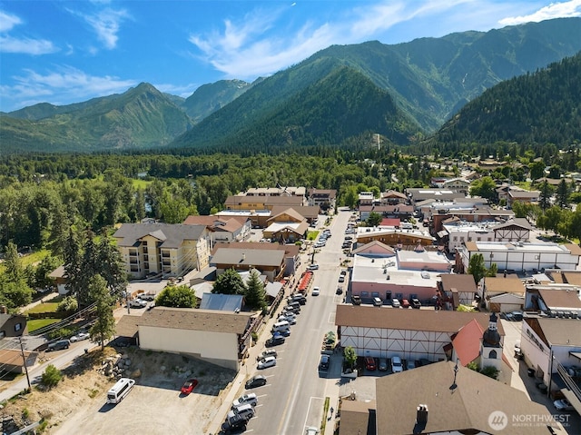 bird's eye view with a mountain view and a view of trees