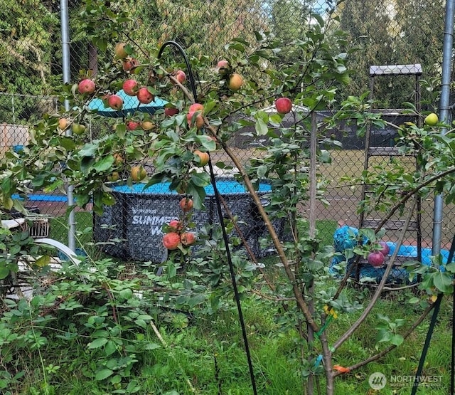 exterior details with fence