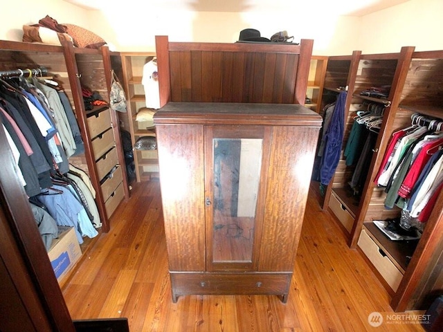 spacious closet with light wood finished floors