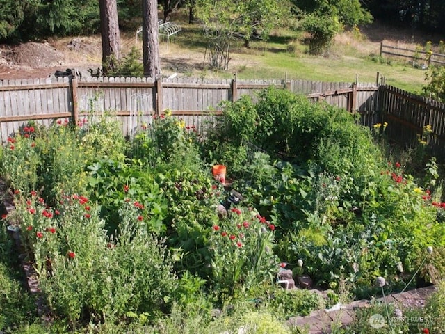 view of yard with a fenced backyard