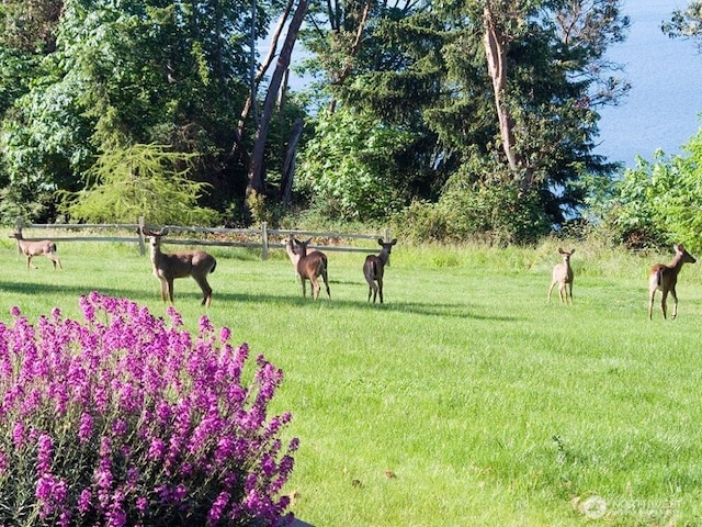 surrounding community featuring a lawn and fence