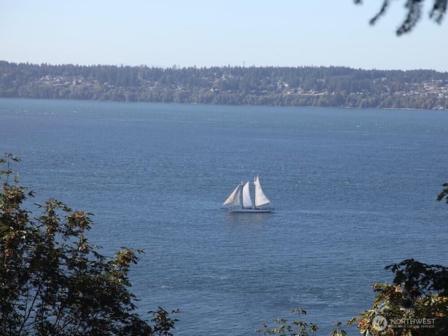 water view featuring a view of trees