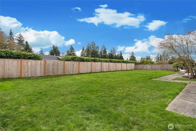 view of yard with a fenced backyard