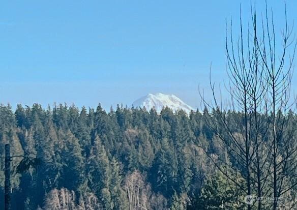 property view of mountains featuring a view of trees