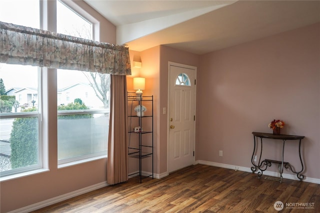 entryway featuring wood finished floors, a healthy amount of sunlight, and baseboards