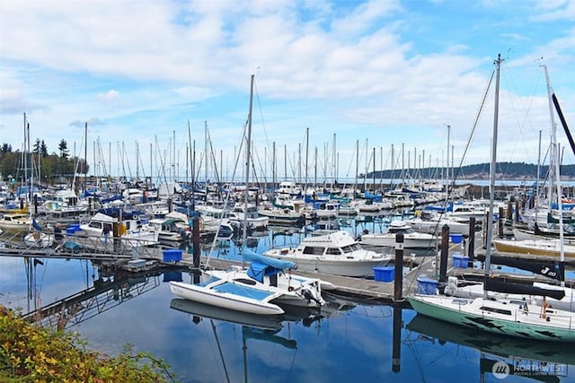 view of dock with a water view