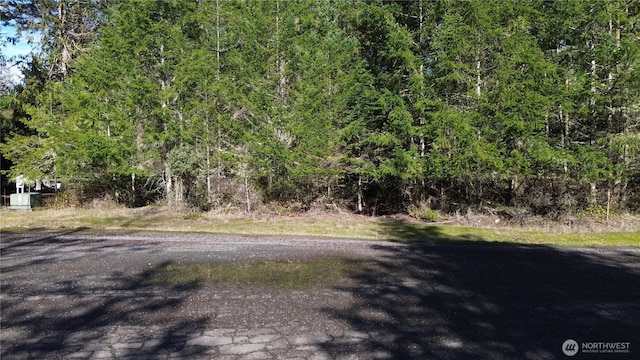 64 Doe Pl, Sequim, WA 98383