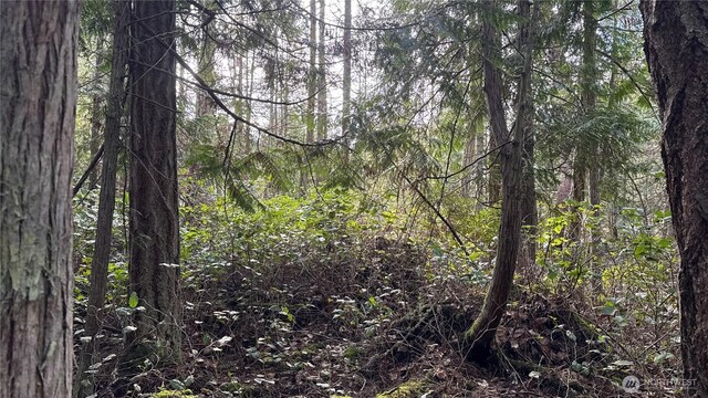 64 Doe Pl, Sequim, WA 98383