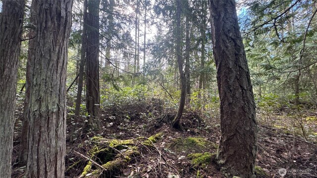 64 Doe Pl, Sequim, WA 98383