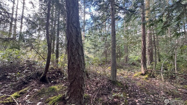 64 Doe Pl, Sequim, WA 98383