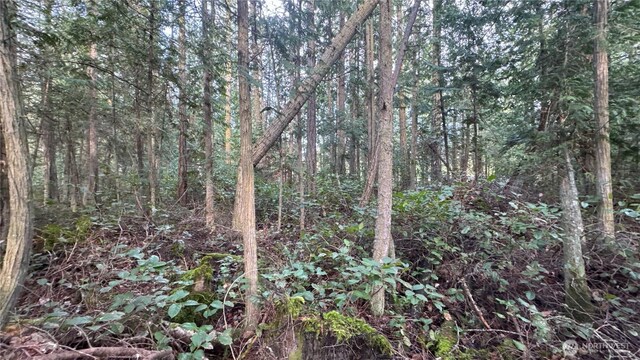 64 Doe Pl, Sequim, WA 98383