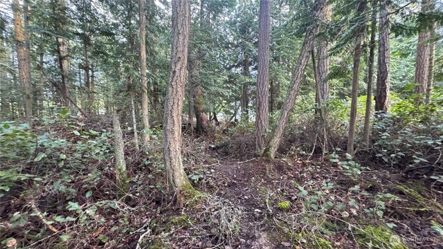 64 Doe Pl, Sequim, WA 98383